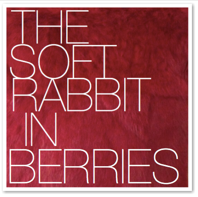 THE SOFT RABBIT IN BERRIES