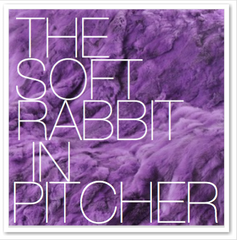 THE SOFT RABBIT IN PITCHER