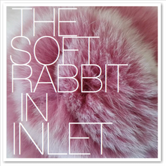 THE SOFT RABBIT IN INLET