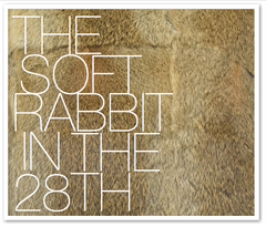 THE SOFT RABBIT IN THE 28TH