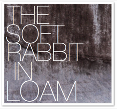 THE SOFT RABBIT IN LOAM