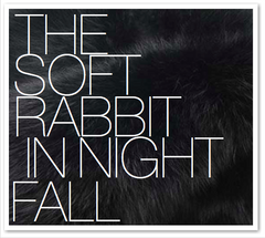 THE SOFT RABBIT IN NIGHT FALL