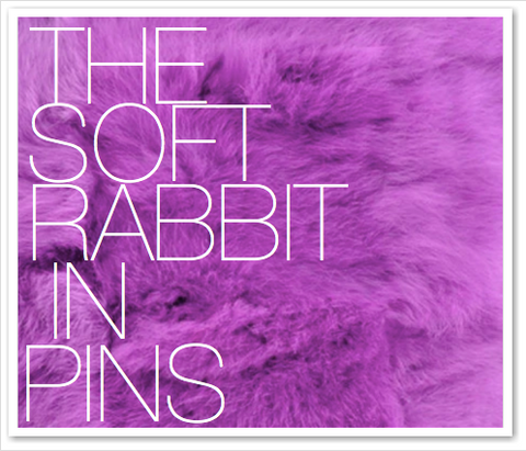 THE SOFT RABBIT IN PINS