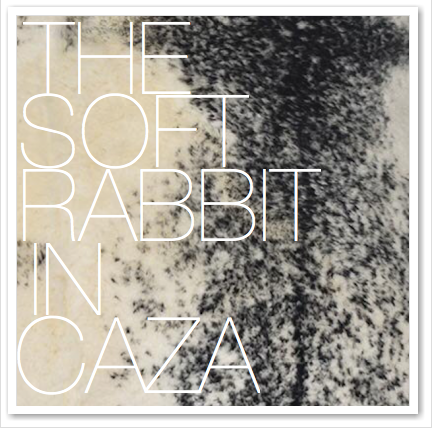 THE SOFT RABBIT IN CAZA