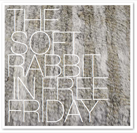 THE SOFT RABBIT IN FREE FRIDAY