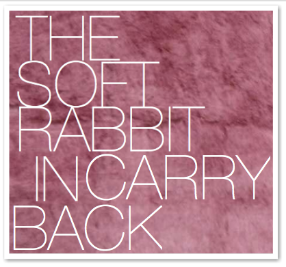 THE SOFT RABBIT IN CARRY BACK