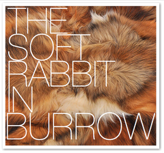 THE SOFT RABBIT IN BURROW