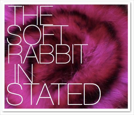 THE SOFT RABBIT IN STATED