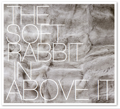 THE SOFT RABBIT IN ABOVE IT