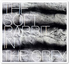 THE SOFT RABBIT IN THE GREY