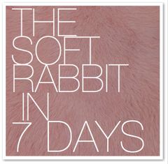 THE SOFT RABBIT IN 7 DAYS