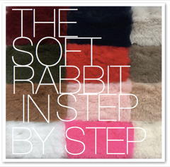THE SOFT RABBIT IN STEP BY STEP
