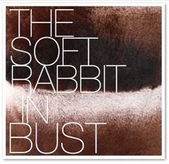 THE SOFT RABBIT IN BUST