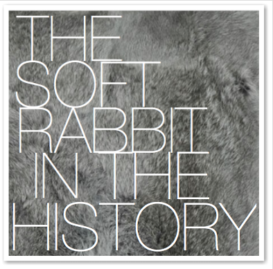 THE SOFT RABBIT IN HISTORY