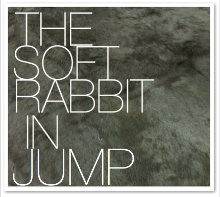 THE SOFT RABBIT IN JUMP