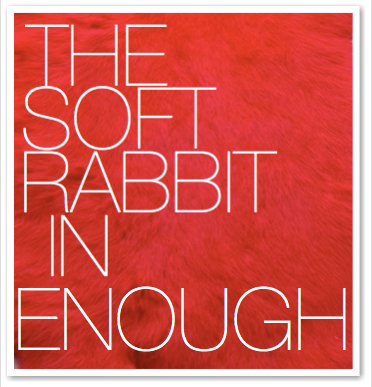 THE SOFT RABBIT IN ENOUGH