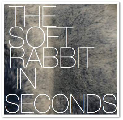 THE SOFT RABBIT IN SECONDS