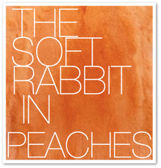 THE SOFT RABBIT IN PEACHES