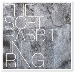 THE SOFT RABBIT IN RING