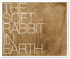 THE SOFT RABBIT IN EARTH