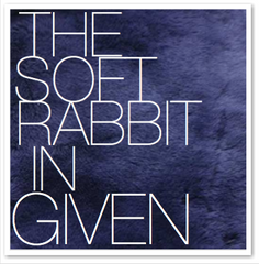 THE SOFT RABBIT IN GIVEN