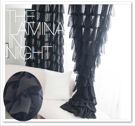 THE LAMINA IN NIGHT