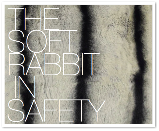 THE SOFT RABBIT IN SAFETY