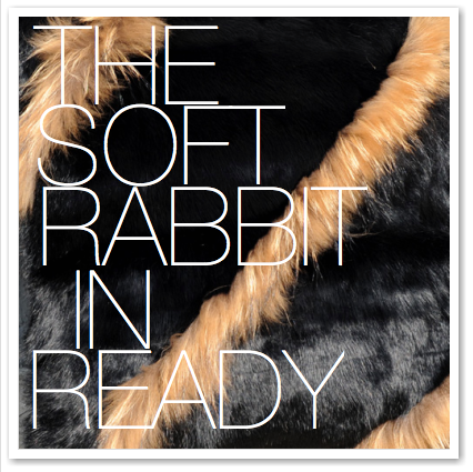 THE SOFT RABBIT IN READY
