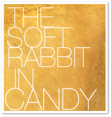 THE SOFT RABBIT IN CANDY