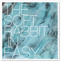 THE SOFT RABBIT IN EASY