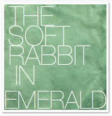 THE SOFT RABBIT IN EMERALD