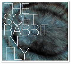 THE SOFT RABBIT IN FLY