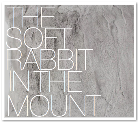 THE SOFT RABBIT IN THE MOUNT
