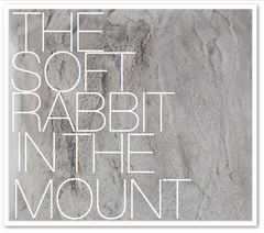 THE SOFT RABBIT IN THE MOUNT