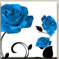 "A RED ROSE AND BLUE ROSES"