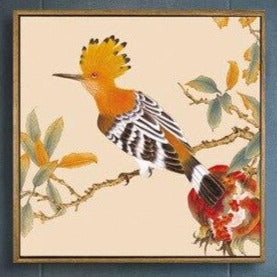 "GOTTA KNOW: SEARCH YOUR CREST HOOPOE BIRD"