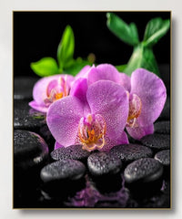 "AS POSSIBLE: OTHERS ALSO. PURPLE ORCHID"