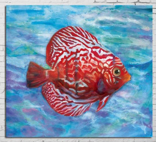 "ANGRY RED FISH"