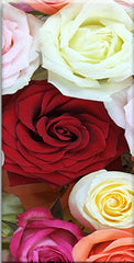 "MIXED COLOR ROSES"