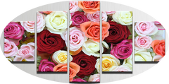 "MIXED COLOR ROSES"