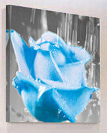 "OUTPOUR ON ROSES"