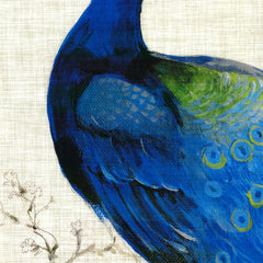"IN THE MIST: BLUE BIRD"