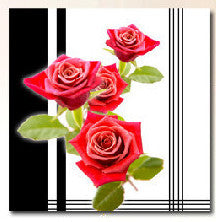 "PINK ROSES IN LINES"