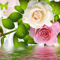 "PINK ROSES ON WATER"