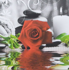 "ROSES IN BLACK AND WHITE OVER WATER"