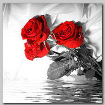 "ROSES OVER RIPPLED WATER"