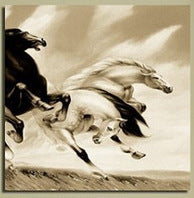 "RUN WITH HORSES"
