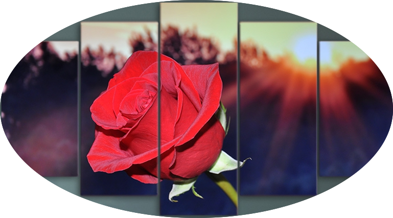 "SUNRISE ON A RED ROSE"