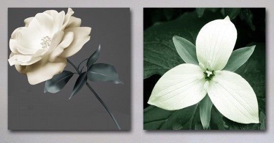 "TWO WHITE FLOWERS"
