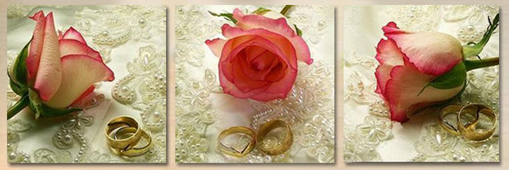 "WEDDING BANDS AND ROSES"